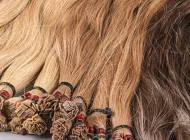 Центр обучения наращиванию волос Europa hair studio Фото 3 на сайте Akademicheskii.ru