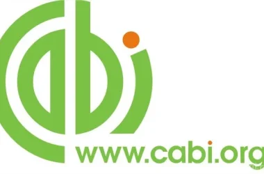 Всероссийский НИИ гельминтологии им. К.И. Скрябина Фото 2 на сайте Akademicheskii.ru
