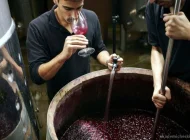 Магазин винных аксессуаров WineGadgets Фото 6 на сайте Akademicheskii.ru