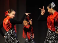 Школа танца фламенко La mirada Фото 7 на сайте Akademicheskii.ru