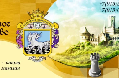 Детский шахматный клуб Шахматное королевство  на сайте Akademicheskii.ru