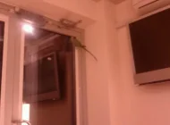 SPA-салон Bontabelle Фото 11 на сайте Akademicheskii.ru