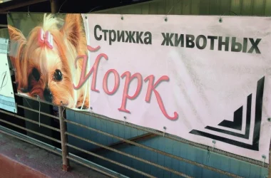 Зоосалон Йорк  на сайте Akademicheskii.ru